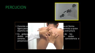 PERCUCION
• Consiste en dar golpes en la superficie del cuerpo en forma
ligera pero aguda para producir sonidos que le permita a quien
examina determinar la posición y tamaño de una estructura
• Es golpear un cuerpo con la punta de los
dedos produciendo vibraciones que generan ondas
sonoras. Para determinar tamaño, límites, consistencia o
presencia de líquidos en cavidades.
 