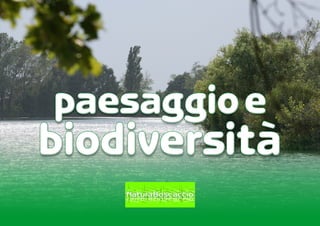 Paesaggio e Biodiversità - Natura Boscaccio
