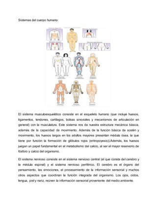 Sistemas del cuerpo humano:
El sistema musculoesquelético consiste en el esqueleto humano (que incluye huesos,
ligamentos, tendones, cartílagos, bolsas sinoviales y mecanismos de articulación en
general) con la musculatura. Este sistema nos da nuestra estructura mecánica básica,
además de la capacidad de movimiento. Además de la función básica de sostén y
movimiento, los huesos largos en los adultos mayores presentan médula ósea, la que
tiene por función la formación de glóbulos rojos (eritropoyesis)).Además, los huesos
juegan un papel fundamental en el metabolismo del calcio, al ser el mayor reservorio de
fósforo y calcio del organismo.
El sistema nervioso consiste en el sistema nervioso central (el que consta del cerebro y
la médula espinal) y el sistema nervioso periférico. El cerebro es el órgano del
pensamiento, las emociones, el procesamiento de la información sensorial y muchos
otros aspectos que coordinan la función integrada del organismo. Los ojos, oídos,
lengua, piel y nariz, reúnen la información sensorial proveniente del medio ambiente.
 