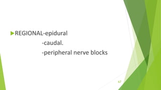 67
REGIONAL-epidural
-caudal.
-peripheral nerve blocks
 