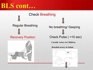 BLS cont…
Check Breathing
Regular Breathing
Recovery Position
No breathing/ Gasping
Check Pulse ( <10 sec)
Carotid artery in Children
Brachial artery in infant
 