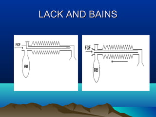 LACK AND BAINSLACK AND BAINS
 