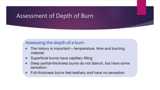 Assessment of Depth of Burn
 