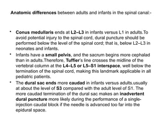 Anatomic differences between adults and infants in the spinal canal:-
• Conus medullaris ends at L2–L3 in infants versus L1 in adults.To
avoid potential injury to the spinal cord, dural puncture should be
performed below the level of the spinal cord; that is, below L2–L3 in
neonates and infants.
• Infants have a small pelvis, and the sacrum begins more cephalad
than in adults.Therefore, Tuffier’s line crosses the midline of the
vertebral column at the L4–L5 or L5–S1 interspace, well below the
termination of the spinal cord, making this landmark applicable in all
pediatric patients.
• The dural sac ends more caudad in infants versus adults.usually
at about the level of S3 compared with the adult level of S1. The
more caudad termination of the dural sac makes an inadvertent
dural puncture more likely during the performance of a single-
injection caudal block if the needle is advanced too far into the
epidural space.
 