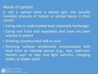 Mode of spread:
E. coli is spread when a person gets tiny (usually
invisible) amounts of human or animal faeces in their
mouth:
• Eating raw or undercooked beef, especially hamburger
• Eating raw fruits and vegetables that have not been
washed or peeled
• Drinking unpasteurized milk or juice
• Touching surfaces accidentally contaminated with
stool from an infected person (e.g., toys, bathroom
fixtures such as taps and light switches, changing
tables, or diaper pails)
 