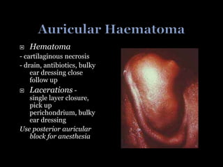  Hematoma
- cartilaginous necrosis
- drain, antibiotics, bulky
ear dressing close
follow up
 Lacerations -
single layer closure,
pick up
perichondrium, bulky
ear dressing
Use posterior auricular
block for anesthesia
 