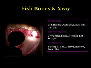 Very Opaque:
Cod, Haddock, Cole fish, Lemon sole,
Gurnard
Moderate Opaque:
Grey Mullet, Plaice, Monkfish, Red
Snapper
Not Opaque:
Herring (Kipper), Salmon, Mackerel,
Trout, Pike
 
