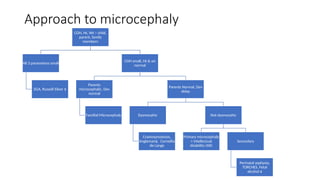 Approach to microcephaly
COH, Ht, Wt – child,
parent, family
members
All 3 parametres small
SGA, Russell Silver $
COH small, Ht & wt
normal
Parents
microcephalic, Dev
normal
Familial Microcephaly
Parents Normal, Dev
delay
Dysmorphic
Craniosynostosis,
Angleman$, Cornellia
de Lange
Not dysmorphic
Primary microcephaly
+ Intellectual
disability (AR)
Secondary
Perinatal asphyxia,
TORCHES, Fetal
alcohol $
 