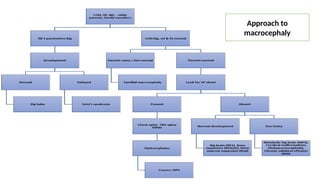 Approach to
macrocephaly
 