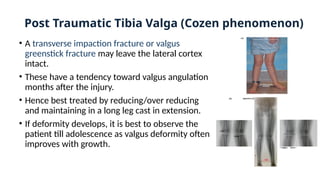 Post Traumatic Tibia Valga (Cozen phenomenon)
• A transverse impaction fracture or valgus
greenstick fracture may leave the lateral cortex
intact.
• These have a tendency toward valgus angulation
months after the injury.
• Hence best treated by reducing/over reducing
and maintaining in a long leg cast in extension.
• If deformity develops, it is best to observe the
patient till adolescence as valgus deformity often
improves with growth.
 