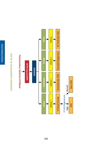 268
DIAGNOSTICALGORITHMOF46,XXDSD
KARYOTYPE46,XX
GONADS
OvotestesTestesStreakOvary
Uterus+Uterus+Uterus-Uterus+
VirilizedFemaleGonadalDysgenesisOvotesticularDSDXXTesticularDSD
AmbiguousGenitalia/PubertalDelay
CAHNon-CAH
17-OHProgesterone
NormalHigh
ENDOCRINOLOGY
 