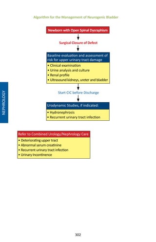 302
Algorithm for the Management of Neurogenic Bladder
NEPHROLOGY
Newborn with Open Spinal Dysraphism
Surgical Closure of Defect
Start CIC before Discharge
Baseline evaluation and assessment of
risk for upper urinary tract damage
• Clinical examination
• Urine analysis and culture
• Renal profile
• Ultrasound kidneys, ureter and bladder
Urodynamic Studies, if indicated:
• Hydronephrosis
• Recurrent urinary tract infection
Refer to Combined Urology/Nephrology Care
• Deteriorating upper tract
• Abnormal serum creatinine
• Recurrent urinary tract infection
• Urinary Incontinence
 