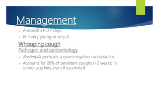 Management
 Amoxicillin PO 7 days.
 IV if very young or very ill.
Whooping cough
Pathogen and epidemiology
 Bordetella pertussis, a gram-negative coccobacillus.
 Accounts for 20% of persistent coughs (>2 weeks) in
school-age kids, even if vaccinated.
 