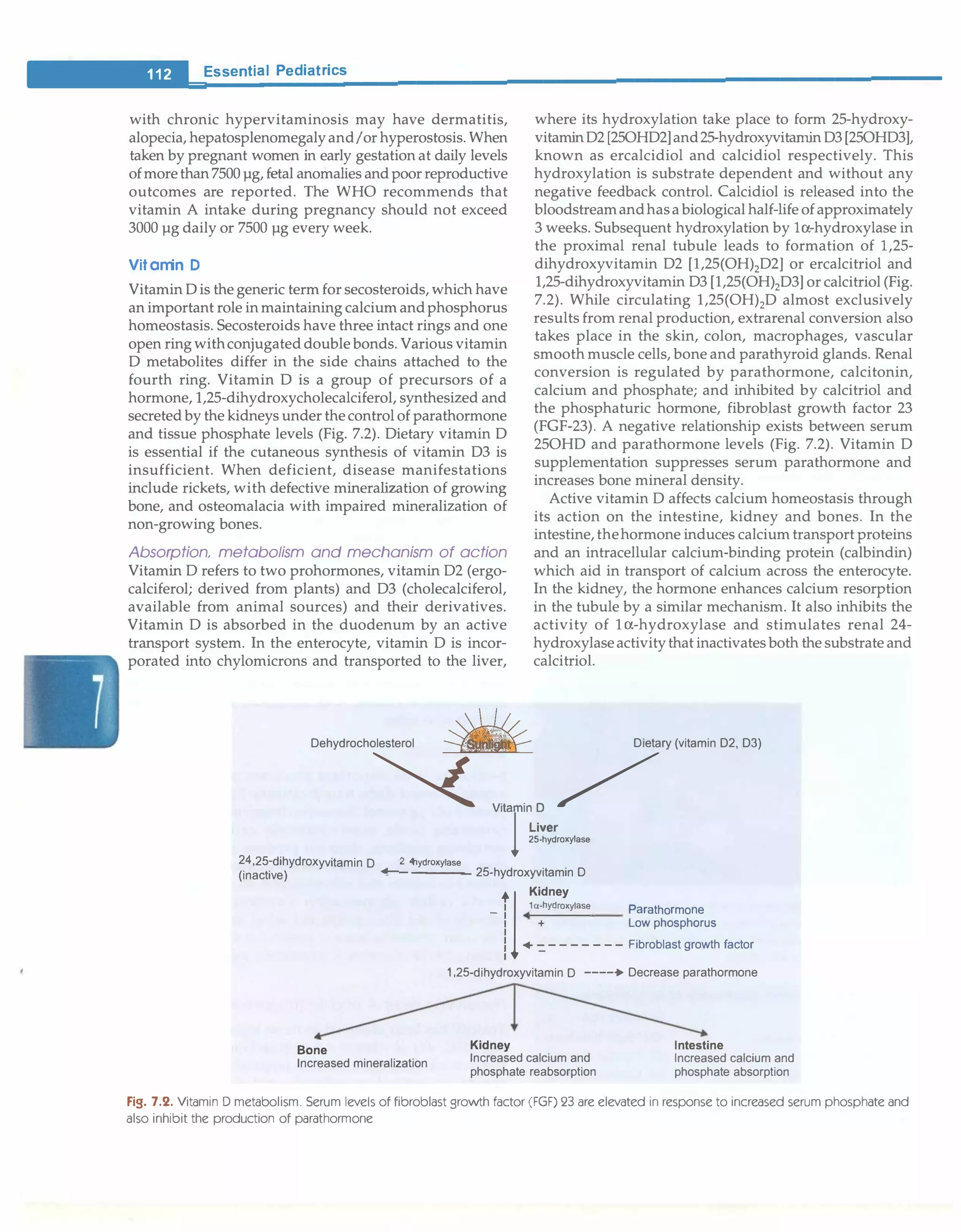 Paediatrics 8th Edition O P Ghai pdf paediatrics-8th-edition-o-p-ghai-pdf