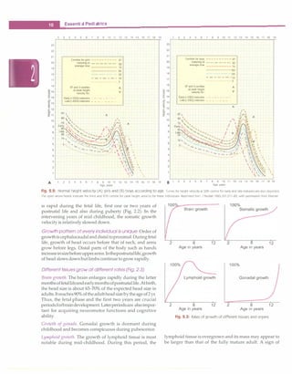 __E
_
s
_
s
_
e
_
n
_
t
_
ia
_
r
_
P
_
e
_
d
_
ia
_
t
_
ri
_
c
_
s ________________________________
23
22
21
20
19
18
17
16
10
2 3 4 5 6 7 8 9 10 11 12 13 14 15 16 17 18 19
Centiles for girls ---------- 97
maturin�at ------ 90
average time
75
97 and 3 centiles
at peak height
velocity for:
...............•...
•
•.... 50
--·- 25
- - - - - - - 10
•••••••••••••••• 3
I
V
Early (+2SD) maturers - - - - - - - - -
Late (-2SD) maturers _ _ _ _ _ _ _ � _
97 ,
I
00�
I 
75 ' ' ',
I� A
9 Early ·, '- ,. '/ '
50 ,.,. '', ...
11
3
Late'}.�'·,. ·, ',, / � 'l"
25 .....,,. '- -- I '/• ·',
.......�·,....'-.::..-7--";�·/"1,1••
10, ...
;<�..�:::-·-· ;;--·-Q// '"' {V I
'-. '°'.;.'"......-�--_....I V '.t�, I
3 ·-
.
'
'
-....:: •.i._-:.·-:.··············'//,··-.,.' 
·. - ...... _ ,. ,'i'�.
·-·-...-: - - - -�"<. _,: ..." '}, '
··..............·
�� 
,-._,��, ·.
'··.''�, '.
"-"�i') 
,�,
: '
23
22
21
20
19
18
17
16
10
2 3 4 5 6 7 8 9 10 11 12 13 14 15 16 17 18 19
Gentiles for boys ---------- 97
maturing at ------ 90
average time ------
75
97 and 3 cenliles
at peak height
velocity for:
·························50
25
- - - - - - ·10
•.••••••••••••••3
I
V
Early (•2SD) malurers - - - - - - - - -
Late (-2SD) maturers ___ •• ___
I
A 2 3 4 5 6 1 8 9 1o 11 12 13 14 15 16 17 18 19 B 1 2 3 4 5 6 1 8 9 10 11 12 13 14 15 16 11 18 19
Age, years Age, years
Fig. 2.2: Normal height velocity (A) girls and (B) boys according to age. Curves for height velocity at 50th centile for early and late maturers are also depicted
The open arrow heads indicate the third and 97th centile for peak height velocity for these individuals. Reprinted from J Pediatr 1985;107317-29; with permission from Elsevier
is rapid during the fetal life, first one or two years of
postnatal life and also during puberty (Fig. 2.2). In the
intervening years of mid childhood, the somatic growth
velocityis relatively slowed down.
Growth pattern ofevery individual is unique Order of
growthiscephalocaudalanddistaltoproximal. Duringfetal
life, growth of head occurs before that of neck, and arms
grow before legs. Distal parts of the body such as hands
increaseinsizebeforeupperarms. Inthepostnatallife,growth
of head slows downbutlimbs continue togrow rapidly.
Different tissues grow at different rates (Fig. 2.3)
Brain growth. The brain enlarges rapidly during the latter
monthsoffetallifeandearlymonthsofpostnatallife.Atbirth,
the head size is about 65-70% of the expected head size in
adults. Itreaches90%oftheadultheadsizebytheageof2yr.
Thus, the fetal phase and the first two years are crucial
periodsforbraindevelopment. Laterperiodsare alsoimpor­
tant for acquiring neuromotor functions and cognitive
ability.
Growth of gonads. Gonadal growth is dormant during
childhood and becomes conspicuous during pubescence.
Lymphoid growth. The growth of lymphoid tissue is most
notable during mid-childhood. During this period, the
2
2
Brain growth
8
Age in years
8
Age in years
12 2
12 2
100%
8 12
Age in years
Gonadal growth
8 12
Age in years
Fig. 2.3: Rates of growth of different tissues and organs
lymphoid tissue is overgrown and its mass may appear to
be larger than that of the fully mature adult. A sign of
 