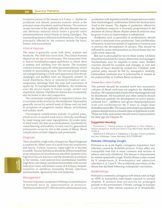 __
E_s_s_e_n_t.ia•l•P•e•d-ia.t.ri_c_
s _________________________________
incubation period of the disease is 2-5 days. C. diphtheriae
proliferate and liberate powerful exotoxin which is the
principal cause of systemic and local lesions. The exotoxin
causes necrosis of the epithelial cells and liberates serous
and fibrinous material which forms a grayish white
pseudomembrane which bleeds on being dislodged. The
surrounding tissueis inflamedandedematous. Theorgans
principally affected by the exotoxin include the heart,
kidney and myocardium.
Clinical Features
The onset is generally acute with fever, malaise and
headache. The child has a toxic look. The clinical features
depend on the site of involvement. The commonest form
is faucial/tonsillopharyngeal diphtheria in which there
is redness and swelling over the fauces. The exudates
coalesce to form agrayish white pseudomembrane, which
extends to surrounding areas. The cervical lymph nodes
are enlargedleading to a bull neck appearance. Sore throat,
dysphagia and muffled voice are frequently present. In
nasal diphtheria there is unilateral/bilateral sero­
sanguinous discharge from the nose and excoriation of
upper lip. In laryngotracheal diphtheria, the membrane
over the larynx leads to brassy cough, stridor and
respiratory distress. Diphtheritic lesionsmayoccasionally
also be found in skin and conjunctiva.
The commonest complication is respiratory failure due
to occlusion of the airways by the membrane. Myocarditis
generally occurs by second week of illness and can lead
to symptoms of congestive cardiac failure, arrhythmias
and sudden death.
Neurological complications include: (i) palatal palsy,
which occurs in second week and is clinically manifested
by nasal twang and nasal regurgitation; (ii) ocular palsy
in third week; (iii) loss of accommodation, manifested by
visual blurring and inability to read; and (iv) generalized
polyneuritis occurs by 3rd to 6th weeks of illness. Renal
complications include oliguria and proteinuria.
Diagnosis
There shouldbe a high index ofsuspicion. Rapiddiagnosis
is enabled by Albert stain of a swab from the oropharynx
and larynx. Culture, however, takes eight hr to become
available. Faucialdiphtheriashould bedifferentiatedfrom
acute streptococcal membranous tonsillitis (patients have
high feverbut are less toxic and the membrane is confined
to the tonsils), viral (adenovirus) membranous tonsillitis
(highfever, sorethroat,membranoustonsillitis with normal
leukocyte count, self limited course of 4-8 days), herpetic
tonsillitis or aphthous stomatitis, thrush, infectious
mononucleosis, agranulocytosis and leukemia.
Management
Themost important component oftherapyis neutralization
of bacterial toxin by administration of antitoxin.
Diphtheria antitoxin (IV/IM) shouldbeadministered soon
asinfectionwithdiphtheriabacilliis suspectedeven earlier
than bacteriological confirmation before the bacteria have
fixed to the tissues. The degree of protection offered by
the diphtheria antitoxin is inversely proportional to the
duration of clinical illness. Repeat doses of antitoxin may
be given if clinical improvement is suboptimal.
Antibiotics such as penicillin or erythromycin should
be used to terminate toxin production, limit proliferation
of bacteria, to prevent spread of organism to contacts and
to prevent the development of carriers. This should be
followed by active immunization as clinical disease does not
confer active immunity.
Bed rest is advocated for two to three weeks. Children
should bemonitoredfor airwayobstruction andmanaged;
tracheostomy may be required in some cases. Sudden
exertion should be avoided and changes in rate and
rhythm of heart should be looked for. Children with
palatal palsy should be fed by nasogastric feeding.
Generalized weakness due to polyneuritis is treated as
for poliomyelitis or Guillain-Barre syndrome.
Prevention and Control
The patient should be isolated until two successive
cultures of throat and nose are negative for diphtheria
bacillus. All contaminatedarticlesfrom dischargesshould
be disinfected. All household and other contacts should
be observed carefully for development of active lesions,
cultured for C. diphtheria and given chemoprophylaxis
with oral erythromycin for 7 days or single dose
benzathinepenicillin. Previously immunizedasymptomatic
patients shouldreceive a boosterdose of diphtheria toxoid.
Those not fully immunized should receive immunization
for their age (see Chapter 9).
Suggested Reading
Panchereon C. Clinical features of diphtheria in Thai children: a
historic perspective. South-east Asian J Trop Med Public Health 2002;
33:352-4
Zakikhany K, Efstratiou A. Diphtheria in Europe: Current problems
and new challenges. Future Microbiol 2012;7:(5)595-607
Pertussis (Whooping Cough)
Pertussis is an acute highly contagious respiratory tract
infection, caused by Bordetella pertussis. It may affect any
susceptible host but is more common and serious in
infancy and early childhood. The disease is characterized
by intense spasmodic cough. Similar illness is also caused
by B. parapertussis, B. bronchoseptica and adenoviral
infections 1, 2, 3 and 5. The worldwide prevalence of the
illness has declined following widespread vaccination.
Epidemiology
Pertussis is extremely contagious with attack rates as high
as 100% in susceptible individuals exposed to aerosol
droplets. B. pertussis does not survive for prolonged
periods in the environment. Chronic carriage in humans
is not known. After intense exposure as in households,
 