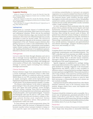 ___
E_s_s_e_n_t.ia_i_P_e _d.ia.t .ri_c_
s _________________________________ _
Suggested Reading
Kundu R, Ganguly N, Ghosh TK, Yewale VN, Shah RC, Shah NK;
IAP Task Force. Report: diagnosis of enteric fever in children. Indian
Pediatr 2006;43:875-83
Kundu R, Ganguly N, Ghosh TK, Yewale VN, Shah RC, Shah NK;
lAP Task Force. Report: management of enteric fever in children. Indian
Pediatr 2006;43:884-7
Parry CM, Hien TT, Dougan G, White NJ, Farrar JJ. Typhoid fever. N
Eng J Med 2002;347:1770-82
Leptospirosis
Leptospirosis is a zoonotic disease of worldwide distri­
bution, caused by spirochetes. Most cases occur in tropical
and subtropical countries. While rats are the principal
source of human infection, dogs, cats, livestock and wild
animals are other reservoirs.Infectedanimals mayexcrete
spirochete in urine for several weeks. The survival of
excreted organisms depends on the moisture content and
temperature of the soil. Humans acquire infection after
getting exposure to water or soil contaminated with rat
urine. Agricultural workers, veterinarians,meat handlers,
rodent control workers and laboratory personnel are at
risk of getting infected because of occupational exposure.
Infectionis common in the monsoons and during flooding.
Pathogenesis
Leptospira enter the body through abrasions and cuts in
skin or through mucous membranes and spread to all
organs hematogenously. The organisms damage the
endothelial lining of smallbloodvessels, with leakage and
extravasation of blood cells, hemorrhage and ischemic
damage to various organs including liver, kidneys,
meninges and muscles.
Clinical Features
Human infection ranges from asymptomatic infection to
a severe multiorgan involvement which is often fatal.
Symptomatic infection is a relatively mild as an anicteric
febrile illness in over 70% of patients; about 20% present
as aseptic meningitis, while severe leptospirosis with
hepatorenal dysfunction (Weil disease)developsin 5-10%
ofindividuals. The incubation period is usually1-2 weeks.
The illness is often biphasic. In the initial or septicemic
phase lasting 2-7 days, the onset is abruptwith high grade
fever with rigors and chills, lethargy, severe myalgia,
headache, nausea, vomiting. There may be conjunctiva!
suffusion with photophobia and orbital pain, generalized
lymphadenopathy and hepatosplenomegaly. Transient
maculopapular rash may be seen in <10% cases. Hypo­
tension with bradycardia and circulatory collapse is rare.
Some patients develop acute respiratory distress
syndrome with respiratory failure. Most patients are
asymptomatic within one week.
In some patients, after a brief asymptomatic phase, the
second phase, called the immune or leptospiruric phase,
becomes manifest where Leptospira localize to tissues to
cause specific signs and symptoms. In this phase,
circulating autoantibodies to Leptospira are present;
organisms canno more be isolated from blood or CSF but
persist in tissues like kidneysandaqueous humor. During
the immune phase, some children develop aseptic
meningitisoruveitis withrecurrenceoffever. Encephalitis,
cranial nerve palsies, paralysis and papilledema are rare.
Central nervous system abnormalities usually normalize
within 1 week; mortality is rare.
In icteric Ieptospirosis (Weil syndrome) after the initial
phase of fever patients develop severe hepatic and renal
dysfunction. Jaundice and hepatomegaly are usually
detected; splenomegaly is found in20%. Renal failuremay
develop, often during the second week of illness. All
patients have abnormal urinary finding on urinalysis in
the form of hematuria,proteinuria and casts. Azotemia is
common, often associated with oliguria or anuria.
Hemorrhagic manifestations are rare but when present,
may include epistaxis, hemoptysis and gastrointestinal
and adrenal hemorrhage. Transient thrombocytopenia
may occur, and mortality is 5-15%.
Diagnosis
Complete blood count shows anemia, leukocytosis with
polymorph predominance and thrombocytopenia. The
CRP is elevated and liver enzymes are mildly elevated
with SGOT more than SGPT. The CPK is high. In patients
with Weil disease there is elevated serum creatinine,
deranged coagulation parameters and direct hyper­
bilirubinemia with raised transaminases.
Specific diagnosis is established by serologic testing,
microscopicdemonstrationof the organism or culture. The
gold standard for serologic diagnosis is the microscopic
agglutination test (MAT), which is only available in
reference centers. Commercial kits for serologic diagnosis
includerapidtests andIgM ELISA. These tests arepositive
after 5 days of illness. Cross reactivity and false positivity
is seen with other infections like enteric fever and malaria.
Demonstration of organism in tissues or urine by dark
field microscopy or immunoflorescence and cultures are
not routinely available.
Leptospirosis should be differentiated from other febrile
illnesses commonly seen in the monsoon season like
malaria, dengue, enteric fever, acute viral hepatitis and
hantavirus infections.
Treatment
Treatment should be initiated as early as possible. For a
severe case of leptospirosis, parenteral penicillin G (6-8
million U/m2
/24 hr q 4 hr IV) for 7 days is the drug of
choice. Ceftriaxone and IV tetracycline are also acceptable
alternatives. Fororaltreatmentamoxicillinanddoxycycline
(in children above 8 yr) are the drugs of choice.
Prevention
Prevention entails avoidanceof exposure to contaminated
water. Single dose doxycyline or amoxicillin following
 