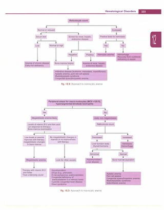 Paediatrics (8th Edition) [O.P. Ghai] .pdf