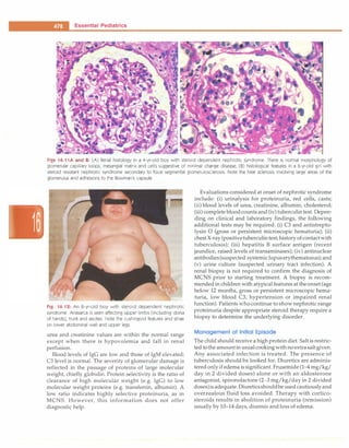 Paediatrics (8th Edition) [O.P. Ghai] .pdf