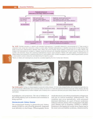 Paediatrics (8th Edition) [O.P. Ghai] .pdf