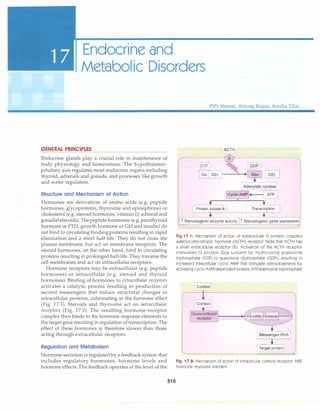 Paediatrics (8th Edition) [O.P. Ghai] .pdf