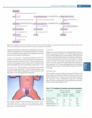 Paediatrics (8th Edition) [O.P. Ghai] .pdf