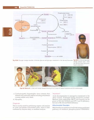 Paediatrics (8th Edition) [O.P. Ghai] .pdf