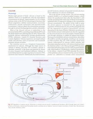 CALCIUM
Physiology
Ninety-eight percent of body calcium is found in the
skeleton which is in equilibrium with the extracellular
concentration of calcium. Approximately 1 to 2% of body
calcium exists in the ECF for physiological functions like
blood coagulation, cellular communication, exocytosis,
endocytosis, muscle contraction and neuromuscular
transmission. Calcium affects the intracellular processes,
throughitscalcium-bindingregulatory protein,calmodulin.
Most of the filtered calcium is reabsorbed in the
proximal tubule (70%), ascending loopof Henle(20%)and
the distal tubule and collecting duct (5-10%). Factors that
promote calcium reabsorption include parathormone
(PTH), calcitonin, vitamin D, thiazide diuretics and
volume depletion. Volume expansion, increased sodium
intake and diuretics such as mannitol and frusemide
promote calcium excretion.
The intestine serves as a longterm homeostatic
mechanism for calcium. Although the major source of
calcium is dietary, less than 15% of dietary calcium is
absorbed, primarily in the ileum and jejunum by means
of active transport and facilitated diffusion. Calcium is
controlledprimarily by majorregulatoryhormones,PTH,
calcitonin andvitaminD. Additionally thyroidhormones,
Fluid and Electrolyte Disturbances -
growth hormone, adrenal and gonadal steroids also have
minor influences on calcium metabolism.
Role ofthe calcium-sensing receptor. The calcium-sensing
receptor (CaSR) is a G protein-coupled receptor, which
allows the parathyroid chief cells, the thyroidal C cells
and the ascending limb of the loop of Henle (renal tubular
epithelial cells) to respond to changes in the extracellular
calcium concentration. The ability of the CaSR to sense
the serum calcium is essential for the appropriate
regulation ofPTH secretion by the parathyroid glands and
for the regulation of passive paracellular calcium
absorption in the loop of Henle. Calcitonin secretion and
renal tubular calcium reabsorption are directly regulated
by theactionofcalciumion onitsreceptor.Ionizedcalcium
acts through calcitonin, to inhibit its release from bones.
Decreaseinextracellularcalciumconcentration, stimulates
the CaSR in parathyroid glands, resulting in an increase
in PTH secretion (Fig. 5.7). PTH increases distal renal
tubular reabsorption of calcium within minutes and
stimulates osteoclast activity, withreleaseofcalciumfrom
the skeletonwithin1-2 hr. More prolongedPTH elevation
stimulates la-hydroxylaseactivityin theproximaltubular
cells, which leads to 1, 25-dihydroxy-vitaminD production.
In the kidney, vitamin D and PTH stimulate the activity
of the epithelial calcium channel and the calcium-binding
protein (i.e. calbindin) to increase active transcellular
Decreased plasma calcium
l 7-dehydrocholesterol in Dietary
skin Vit D2 (ergocalciferol)
{ 1 I
Vit D3 (cho
r
alciferol)
{{ff·,fr �-�i------�
Fig. 5.7: Regulation of plasma calcium. Reduction in ionized calcium results in parathormone secretion, which through direct and indirect
actions on the bones, intestine and the kidneys results in positive calcium balance. Calcitonin results in accretion of bone mass. Discontinuous
lines indicate inhibitory control
 