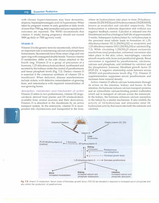 __E_s_s_e_n_ t_ia_l_P_e_d_ i_a _tr_ic_s_________________________________
with chronic hypervitaminosis may have dermatitis,
alopecia, hepatosplenomegalyand/or hyperostosis.When
taken by pregnant women in early gestation at daily levels
ofmorethan 7500 µg,fetal anomalies andpoor reproductive
outcomes are reported. The WHO recommends that
vitamin A intake during pregnancy should not exceed
3000 µg daily or 7500 µg every week.
Vitamin D
Vitamin D is the generic term for secosteroids,which have
an important role in maintaining calcium andphosphorus
homeostasis. Secosteroids have three intact rings and one
open ringwithconjugateddouble bonds. Various vitamin
D metabolites differ in the side chains attached to the
fourth ring. Vitamin D is a group of precursors of a
hormone, 1,25-dihydroxycholecalciferol, synthesized and
secreted by the kidneys under thecontrol of parathormone
and tissue phosphate levels (Fig. 7.2). Dietary vitamin D
is essential if the cutaneous synthesis of vitamin D3 is
insufficient. When deficient, disease manifestations
include rickets, with defective mineralization of growing
bone, and osteomalacia with impaired mineralization of
non-growing bones.
Absorption, metabolism and mechanism of action
Vitamin D refers to two prohormones, vitamin D2 (ergo­
calciferol; derived from plants) and D3 (cholecalciferol,
available from animal sources) and their derivatives.
Vitamin D is absorbed in the duodenum by an active
transport system. In the enterocyte, vitamin D is incor­
porated into chylomicrons and transported to the liver,
where its hydroxylation take place to form 25-hydroxy­
vitaminD2 [250HD2]and25-hydroxyvitaminD3 [250HD3],
known as ercalcidiol and calcidiol respectively. This
hydroxylation is substrate dependent and without any
negative feedback control. Calcidiol is released into the
bloodstreamandhasa biological half-life ofapproximately
3 weeks. Subsequent hydroxylation by la-hydroxylase in
the proximal renal tubule leads to formation of 1,25-
dihydroxyvitamin D2 [l,25(0H)iD2] or ercalcitriol and
1,25-dihydroxyvitamin D3 [l,25(0H)iD3] or calcitriol(Fig.
7.2). While circulating l,25(0H)iD almost exclusively
results from renal production, extrarenal conversion also
takes place in the skin, colon, macrophages, vascular
smooth muscle cells, bone and parathyroid glands. Renal
conversion is regulated by parathormone, calcitonin,
calcium and phosphate; and inhibited by calcitriol and
the phosphaturic hormone, fibroblast growth factor 23
(FGF-23). A negative relationship exists between serum
250HD and parathormone levels (Fig. 7.2). Vitamin D
supplementation suppresses serum parathormone and
increases bone mineral density.
Active vitamin D affects calcium homeostasis through
its action on the intestine, kidney and bones. In the
intestine,thehormone induces calciumtransport proteins
and an intracellular calcium-binding protein (calbindin)
which aid in transport of calcium across the enterocyte.
In the kidney, the hormone enhances calcium resorption
in the tubule by a similar mechanism. It also inhibits the
activity of la-hydroxylase and stimulates renal 24-
hydroxylaseactivitythat inactivates both the substrate and
calcitrio1.
Dehydrocholesterol
�
Dietary (vitamin 02, 03)
�V�mioD/
l;�!:�roxylase
24,25-dihydroxyvitamin D .__
24_
·h
-
yd_rox_y1_as_e
_ 25-hydroxyvitamin D
(inactive)
Bone
Increased mineralization
-
I
1a·hydroxylase Parathormone
+l Kidney
1 + Low phosphorus
I •::.-------Fibroblast growth factor
1,25-dihydroxyvitamin D ----• Decrease parathormone
Kidney
Increased calcium and
phosphate reabsorption
Intestine
Increased calcium and
phosphate absorption
Fig. 7.2. Vitamin D metabolism. Serum levels of fibroblast growth factor (FGF) 23 are elevated in response to increased serum phosphate and
also inhibit the production of parathormone
 