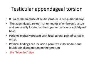 Paediatric scrotum Slide 14