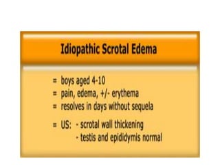 Paediatric scrotum Slide 39