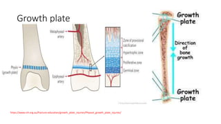 Physes Paediatrics fracture | PPTX
