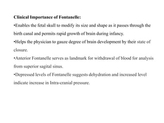 Paedologic anatomy | PPT