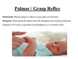 Paedologic anatomy | PPT