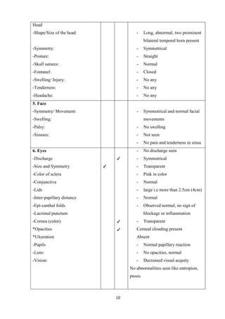 10
Head
-Shape/Size of the head:
-Symmetry:
-Posture:
-Skull sutures:
-Fontanel:
-Swelling/ Injury:
-Tenderness:
-Headache:
- Long, abnormal, two prominent
bilateral temporal horn present
- Symmetrical
- Straight
- Normal
- Closed
- No any
- No any
- No any
5. Face
-Symmetry/ Movement:
-Swelling:
-Palsy:
-Sinuses:
- Symmetrical and normal facial
movements
- No swelling
- Not seen
- No pain and tenderness in sinus
6. Eyes
-Discharge
-Size and Symmetry
-Color of sclera
-Conjunctiva
-Lids
-Inter-papillary distance
-Epi-canthal folds
-Lacrimal punctum
-Cornea (color)
*Opacities
*Ulceration
-Pupils
-Lens:
-Vision:
✓
✓
✓
✓
- No discharge seen
- Symmetrical
- Transparent
- Pink in color
- Normal
- large i.e more than 2.5cm (4cm)
- Normal
- Observed normal, no sign of
blockage or inflammation
- Transparent
Corneal clouding present
Absent
- Normal papillary reaction
- No opacities, normal
- Decreased visual acquity
No abnormalities seen like entropion,
ptosis
 
