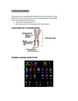 CHROMOSOMES
Choromosomes are condensation of DNA material in the nucleus of a cell.
Each human cell contains 23 pairs of chromosomes(except in the gonads).
There are two types of chromosomes:
Autosomes- Chromosome 1-22
Sex chromosome- X chromosome and Y chromosome

STRUCTURE OF A CHROMOSOME:

NORMAL HUMAN KARYOTYPE:

 