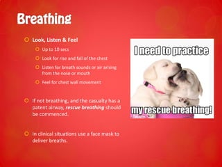  Look, Listen & Feel
 Up to 10 secs
 Look for rise and fall of the chest
 Listen for breath sounds or air arising
from the nose or mouth
 Feel for chest wall movement
 If not breathing, and the casualty has a
patent airway, rescue breathing should
be commenced.
 In clinical situations use a face mask to
deliver breaths.
 