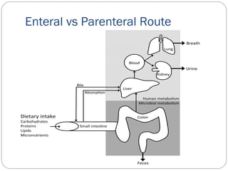 Enteral vs Parenteral Route
 