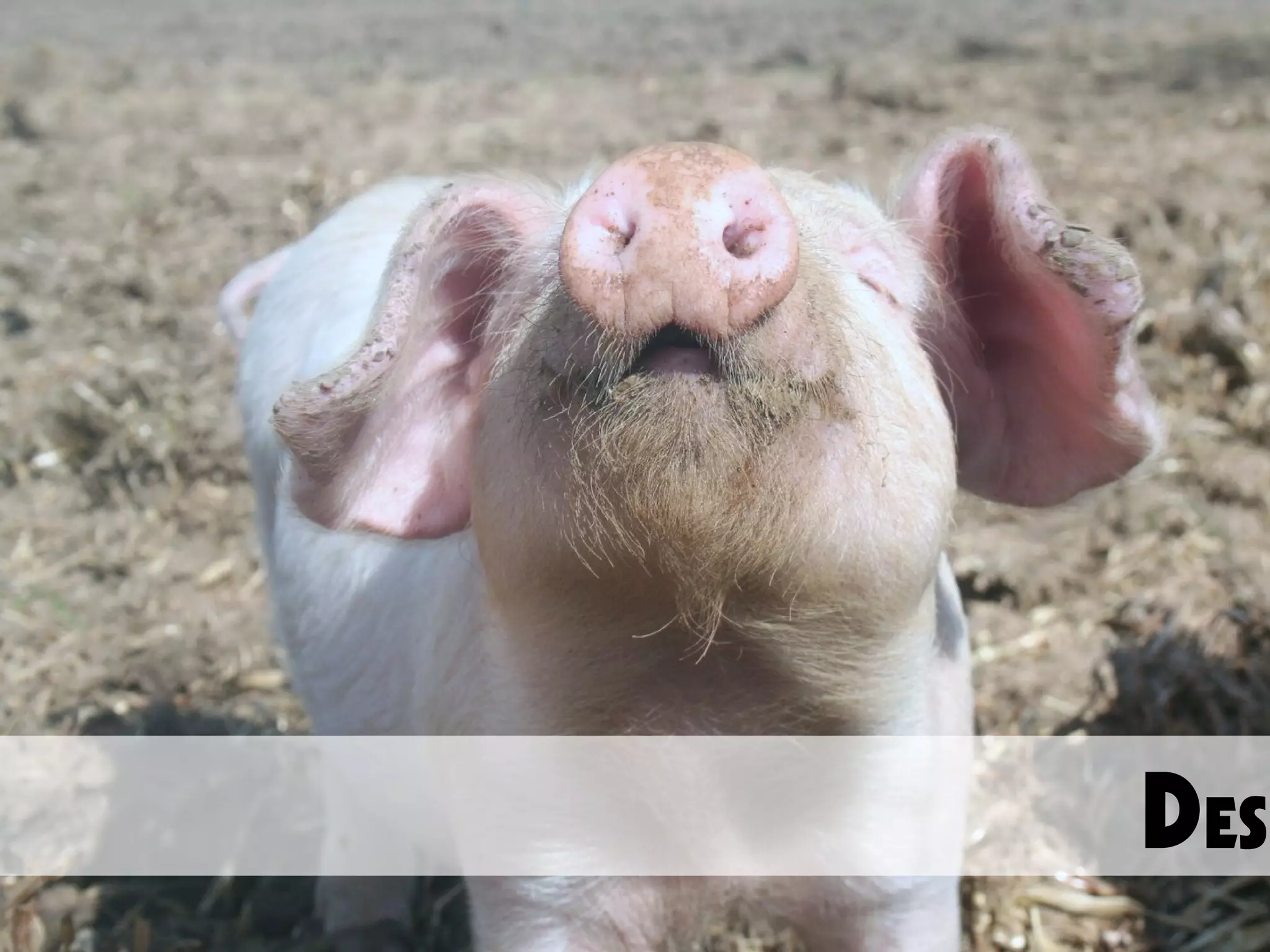 Using Simulation for Change