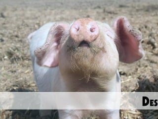 Using Simulation for Change