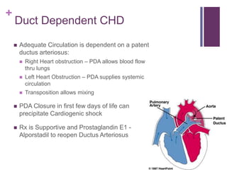 +
Duct Dependent CHD
 Adequate Circulation is dependent on a patent
ductus arteriosus:
 Right Heart obstruction – PDA allows blood flow
thru lungs
 Left Heart Obstruction – PDA supplies systemic
circulation
 Transposition allows mixing
 PDA Closure in first few days of life can
precipitate Cardiogenic shock
 Rx is Supportive and Prostaglandin E1 -
Alporstadil to reopen Ductus Arteriosus
 