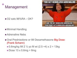 +
Management
 O2 sats 96%RA – OK?
 Minimal Handling
 Adrenaline Nebs
 Oral Prednisolone or IM Dexamethasone Big Dose:
(Frank Schann)
 0.6mg/kg IM 2 ½ yo M wt (2.5 +4) x 2 = 13kg
 Dose 13 x 0.6mg = 8mg
 