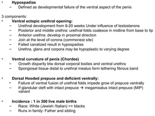 Paediatric Urology [Dr.Edmond Wong] | PPT