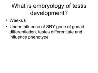 Paediatric Urology [Dr.Edmond Wong] | PPT
