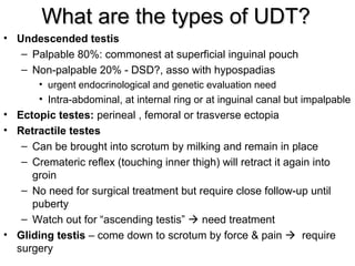 Paediatric Urology [Dr.Edmond Wong] | PPT