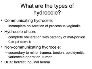 Paediatric Urology [Dr.Edmond Wong] | PPT