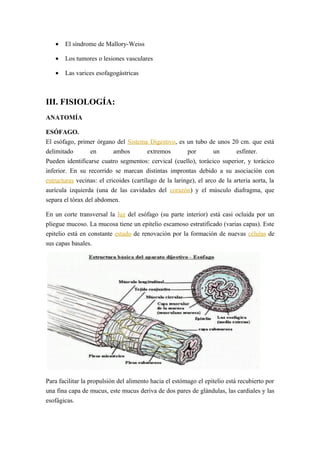 • El síndrome de Mallory-Weiss
• Los tumores o lesiones vasculares
• Las varices esofagogástricas
III. FISIOLOGÍA:
ANATOMÍA
ESÓFAGO.
El esófago, primer órgano del Sistema Digestivo, es un tubo de unos 20 cm. que está
delimitado en ambos extremos por un esfínter.
Pueden identificarse cuatro segmentos: cervical (cuello), torácico superior, y torácico
inferior. En su recorrido se marcan distintas improntas debido a su asociación con
estructuras vecinas: el cricoides (cartílago de la laringe), el arco de la arteria aorta, la
aurícula izquierda (una de las cavidades del corazón) y el músculo diafragma, que
separa el tórax del abdomen.
En un corte transversal la luz del esófago (su parte interior) está casi ocluida por un
pliegue mucoso. La mucosa tiene un epitelio escamoso estratificado (varias capas). Este
epitelio está en constante estado de renovación por la formación de nuevas células de
sus capas basales.
Para facilitar la propulsión del alimento hacia el estómago el epitelio está recubierto por
una fina capa de mucus, este mucus deriva de dos pares de glándulas, las cardiales y las
esofágicas.
 