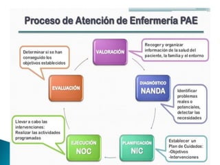 PAE lic .pptx
