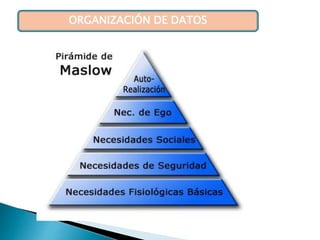 ORGANIZACIÓN DE DATOS
 
