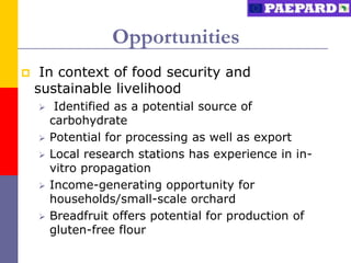 Opportunities
    In context of food security and
    sustainable livelihood
        Identified as a potential source of
        carbohydrate
       Potential for processing as well as export
       Local research stations has experience in in-
        vitro propagation
       Income-generating opportunity for
        households/small-scale orchard
       Breadfruit offers potential for production of
        gluten-free flour
 